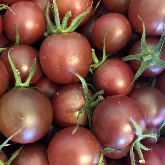 Graines de tomate cerise Black Cherry