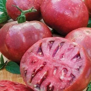 Graines de tomates Cherokee
