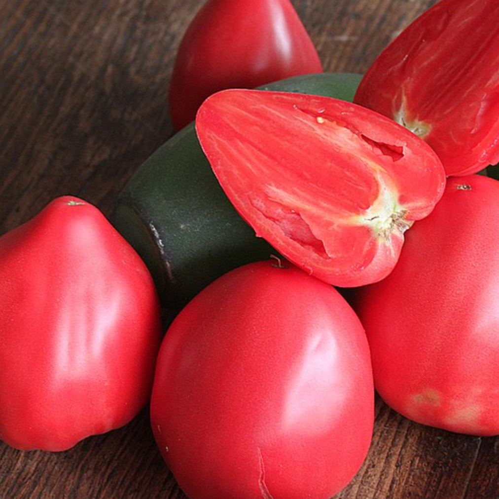 6 Plants de tomates : Pack couleur