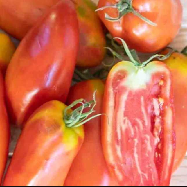 Graines de tomate Cornue des Andes