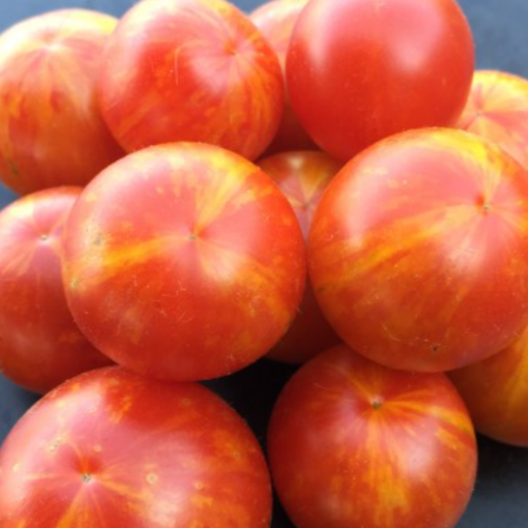 Graines de tomate cerise Jan's