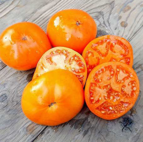 Graines de tomate Tangerine