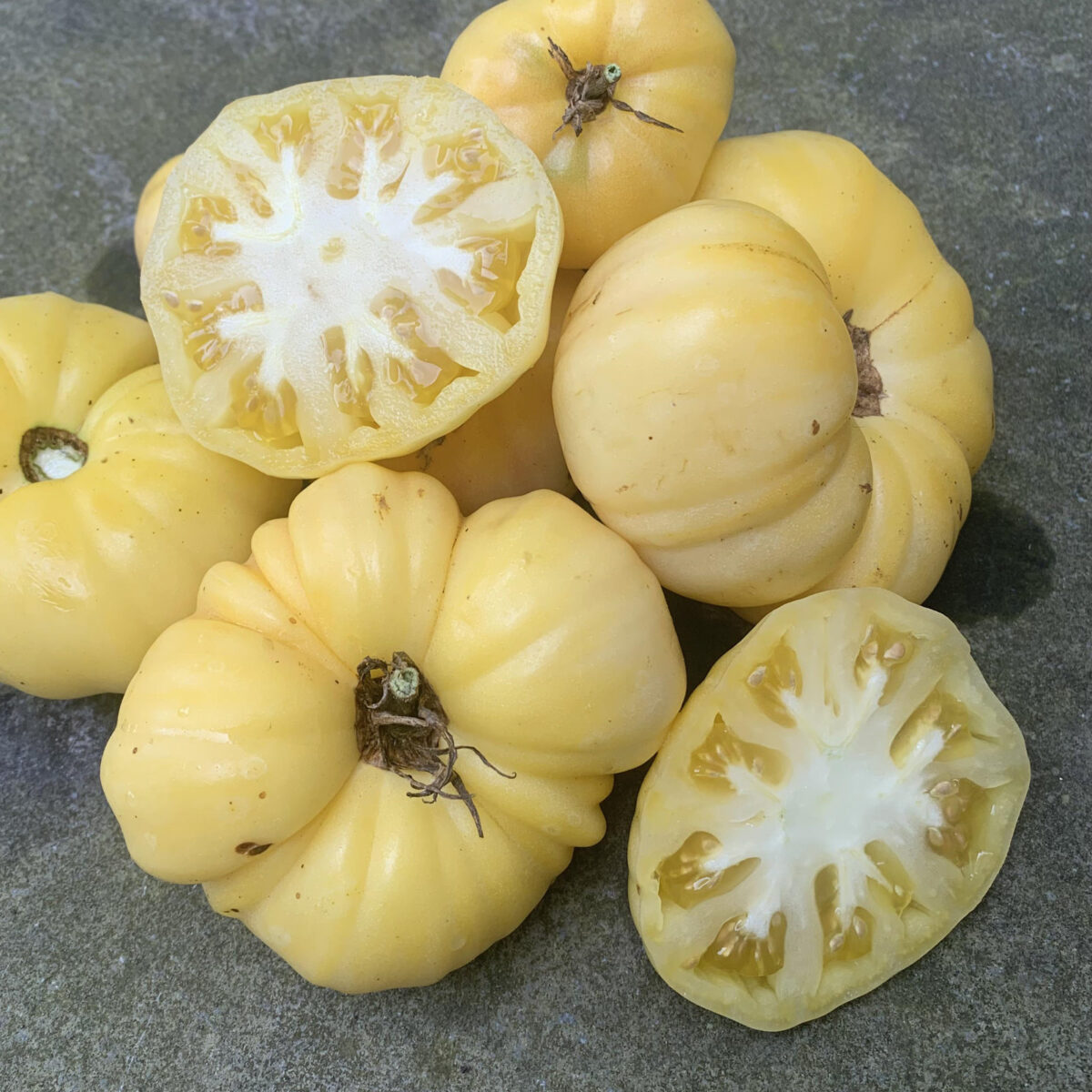 Graines de tomate Beauté Blanche