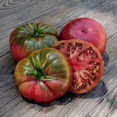 Graines de tomate Black from Tula (NOUVEAUTÉ 2025)