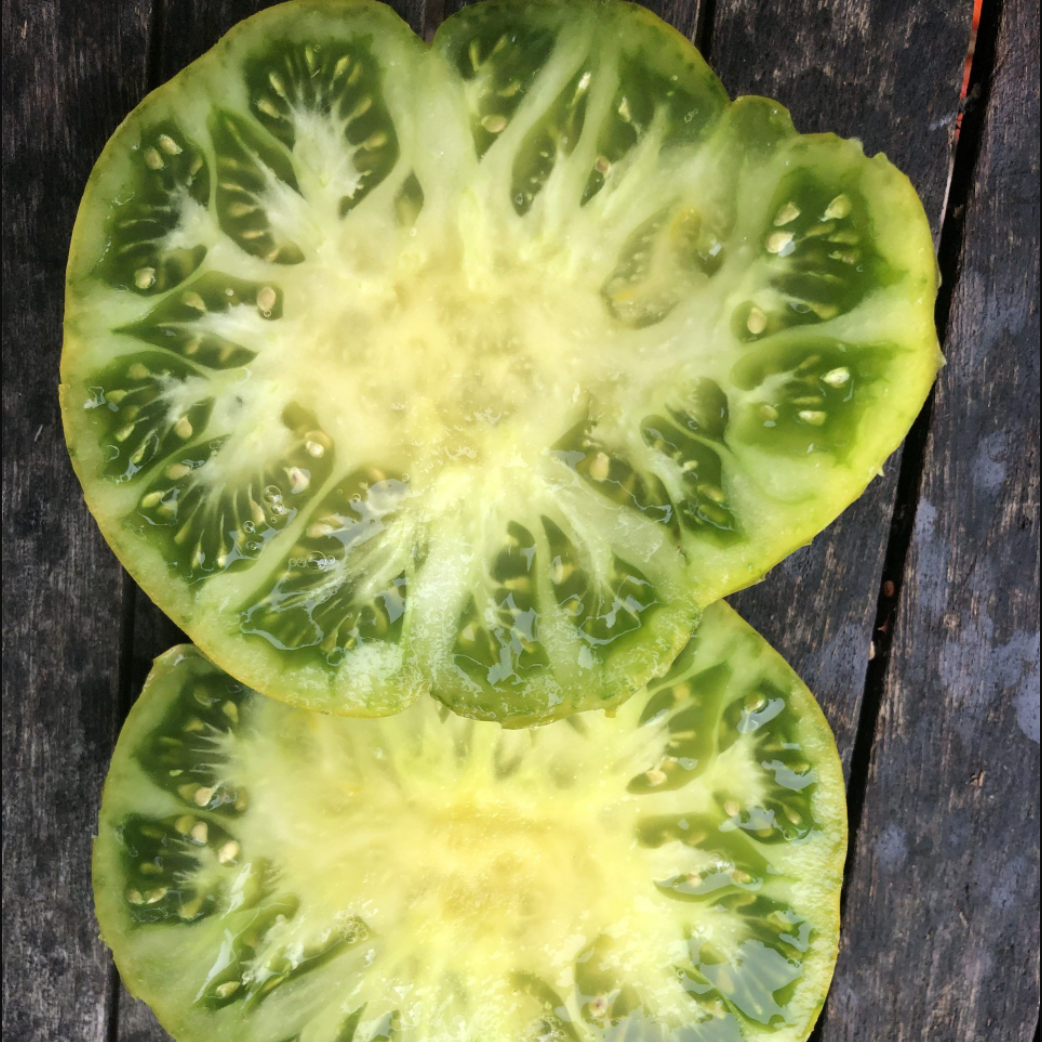 Graines de tomate Del Nerpio Verde