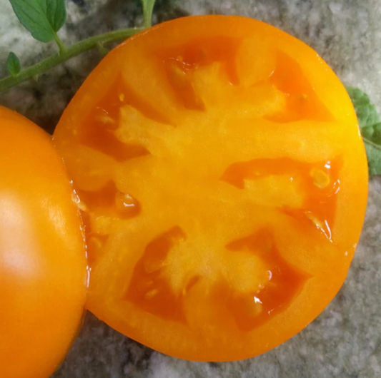 Graines de tomate Gelbe d'Hélène