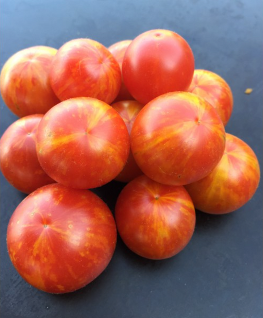 Graines de tomate cerise Jan's