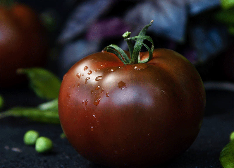 Graines de tomate Prince Noir