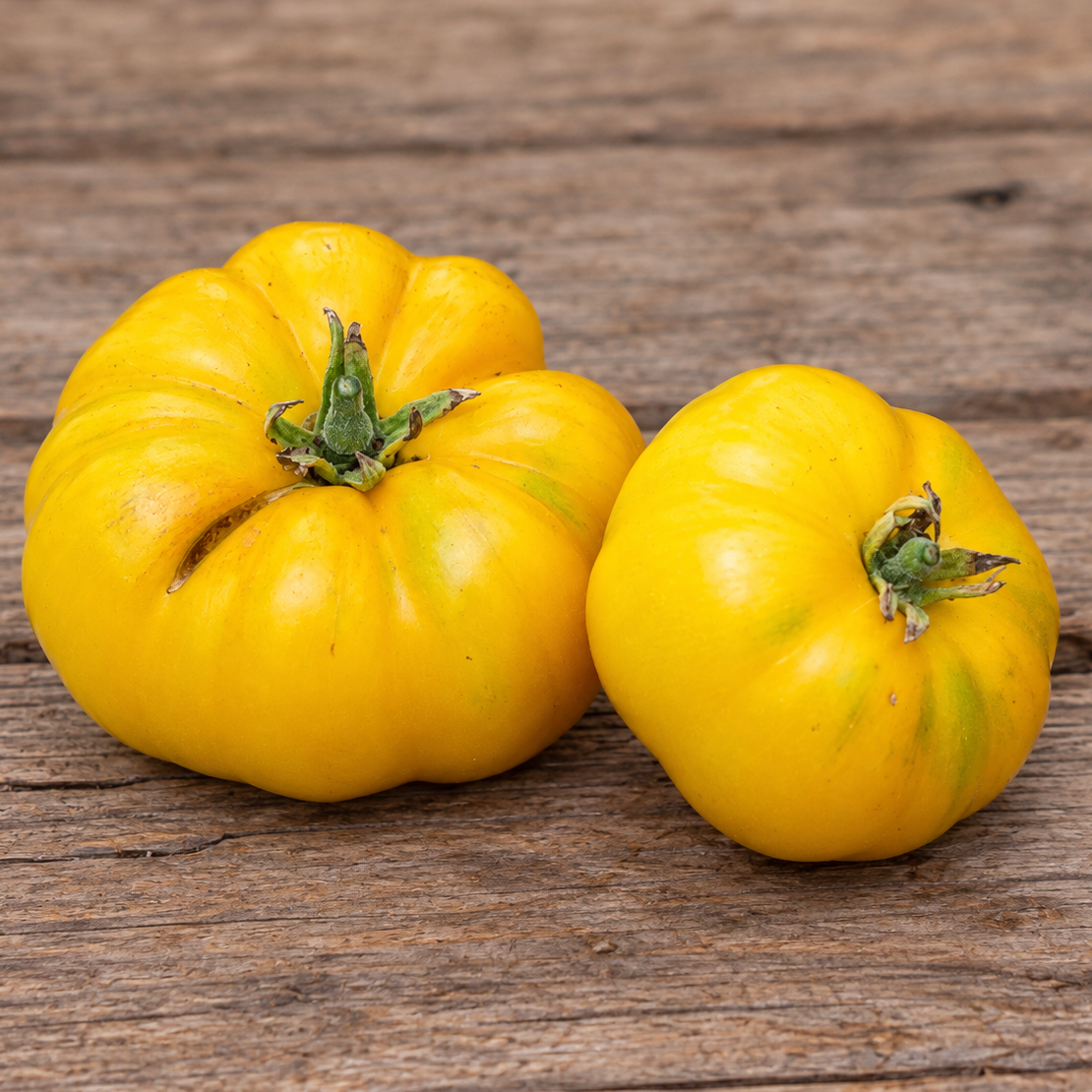 Graines de tomate Saint Vincent (NOUVEAUTÉ)